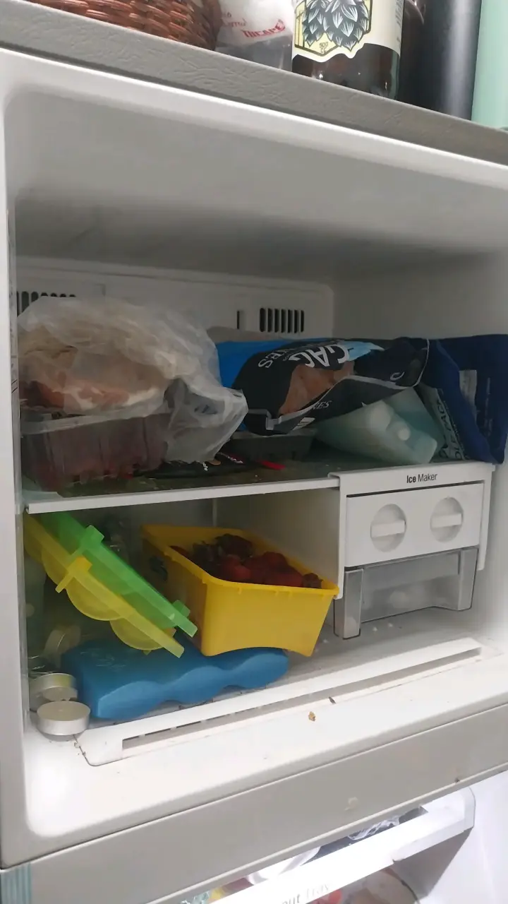 Refrigerador LG LT32BPPX con congelador eficiente - 3