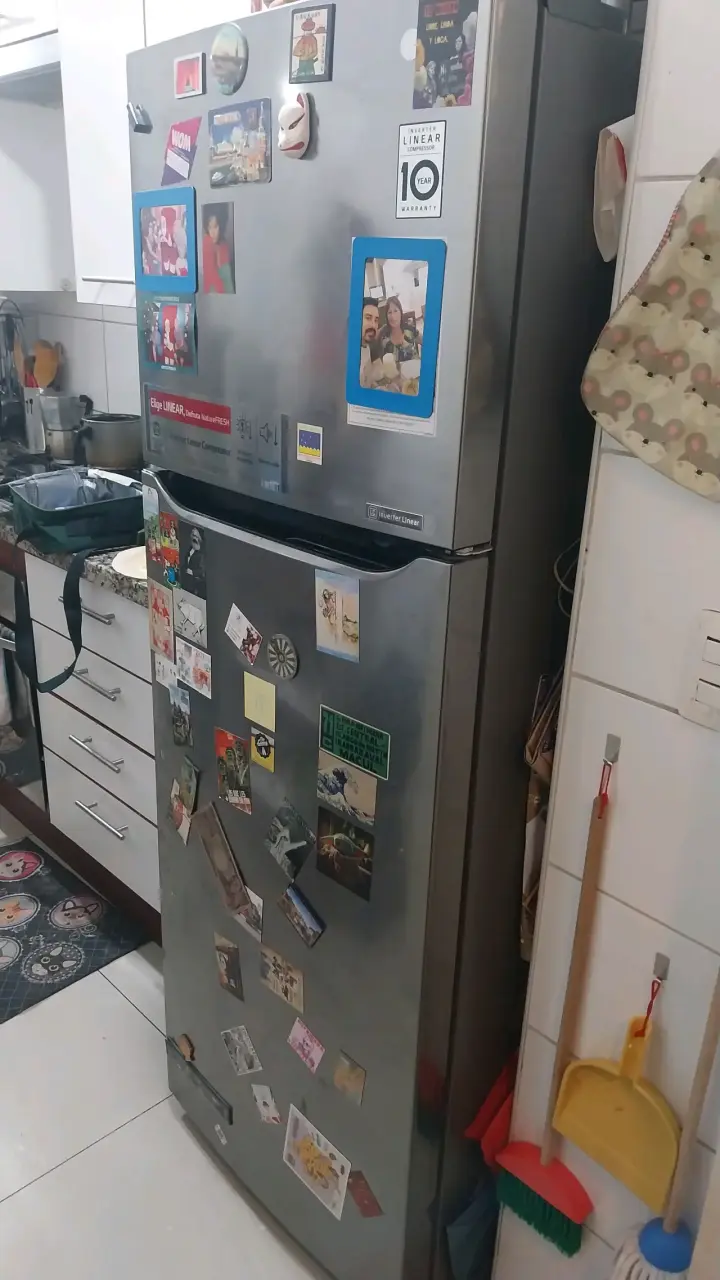 Refrigerador LG LT32BPPX con congelador eficiente - 5