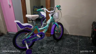 Bicicleta infantil con rueditas y canasto - miniatura 2