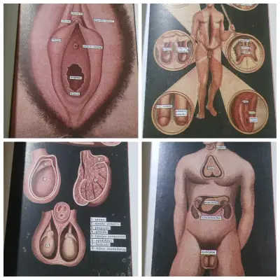 Libro Tratamiento de la Impotencia Sexual - Dr. Isaac Puente - miniatura 4
