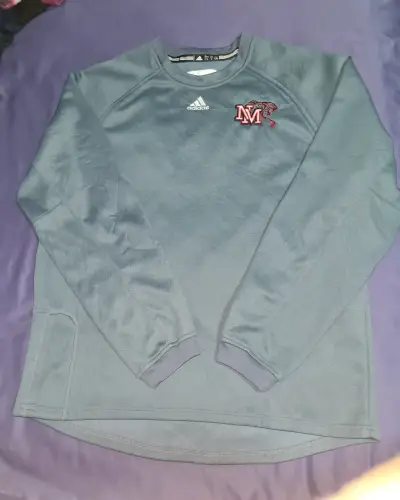Polerón Adidas gris con logo bordado - miniatura 1
