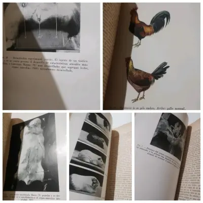 Libro 'Sexo y Vida' de Eugen Steinach - miniatura 4