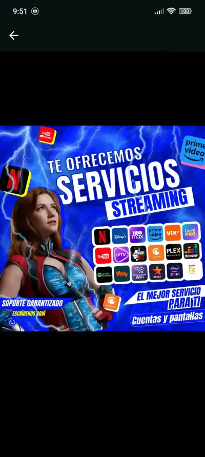 Se vende Netflix - miniatura 2