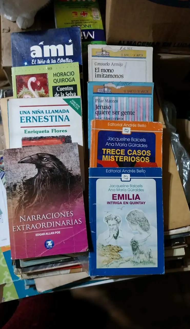 Lote de libros variados para niños y jóvenes - 1