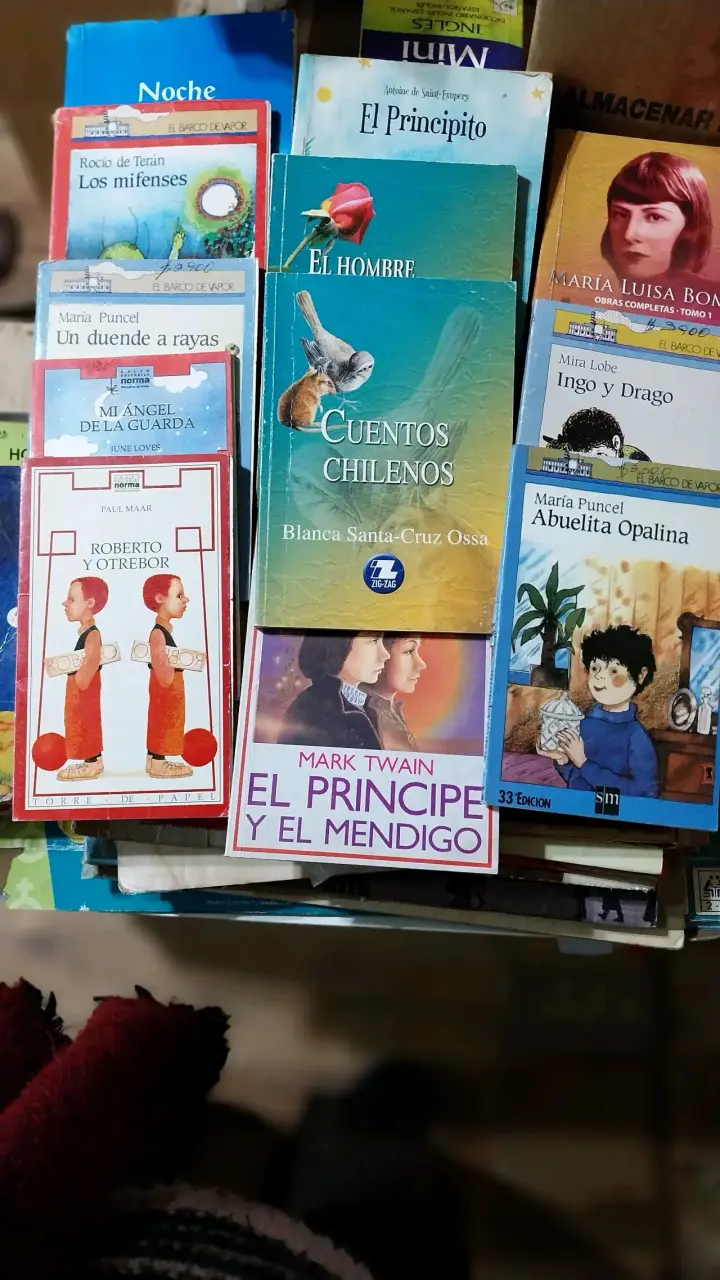 Lote de libros variados para niños y jóvenes - 2