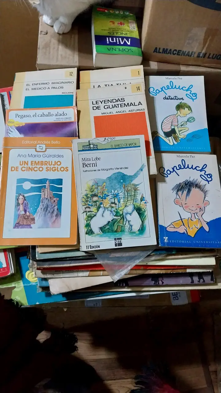 Lote de libros variados para niños y jóvenes - 3