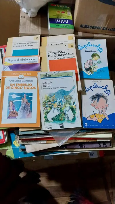 Lote de libros variados para niños y jóvenes - miniatura 3