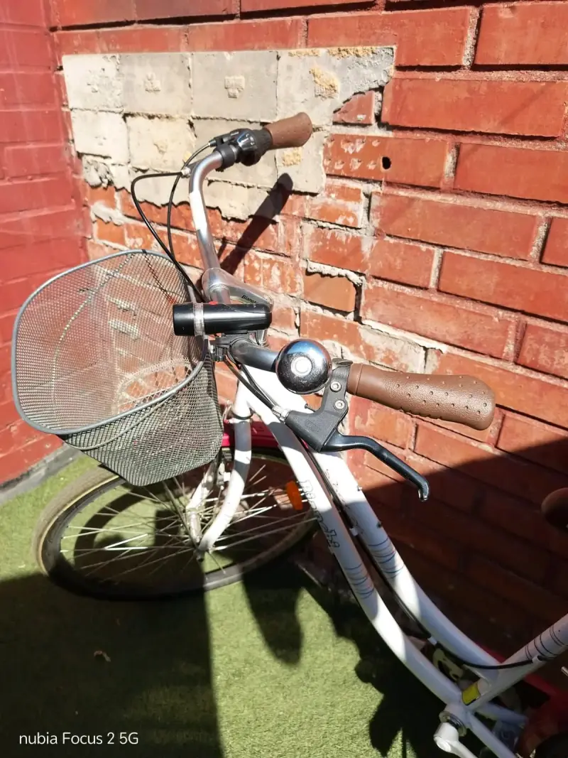 Bicicleta urbana Bianchi con canasto y parrilla - 2