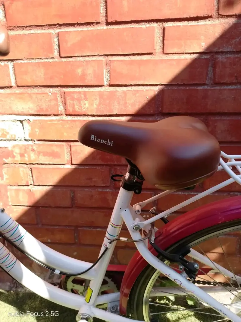 Bicicleta urbana Bianchi con canasto y parrilla - 4