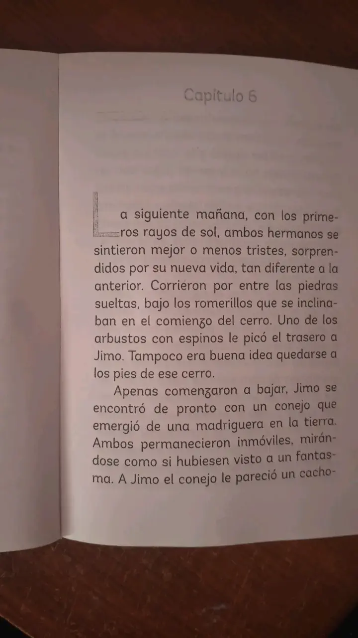 Libro infantil 'Jim' de Sergio Gómez - 4