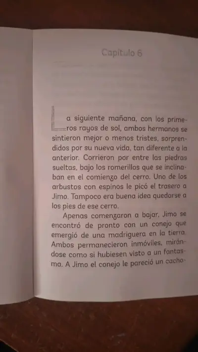 Libro infantil 'Jim' de Sergio Gómez - miniatura 4