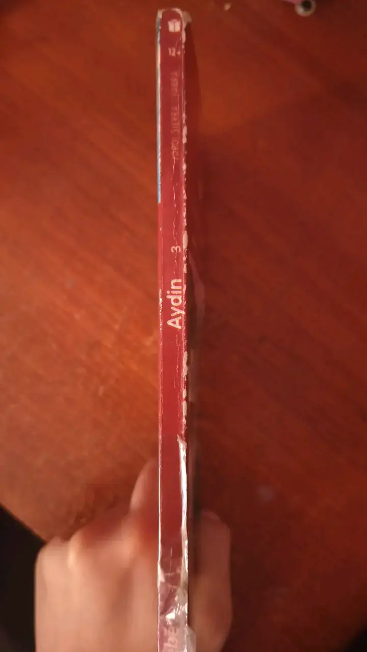 Libro 'Aydin' de Jordi Sierra i Fabra - 2