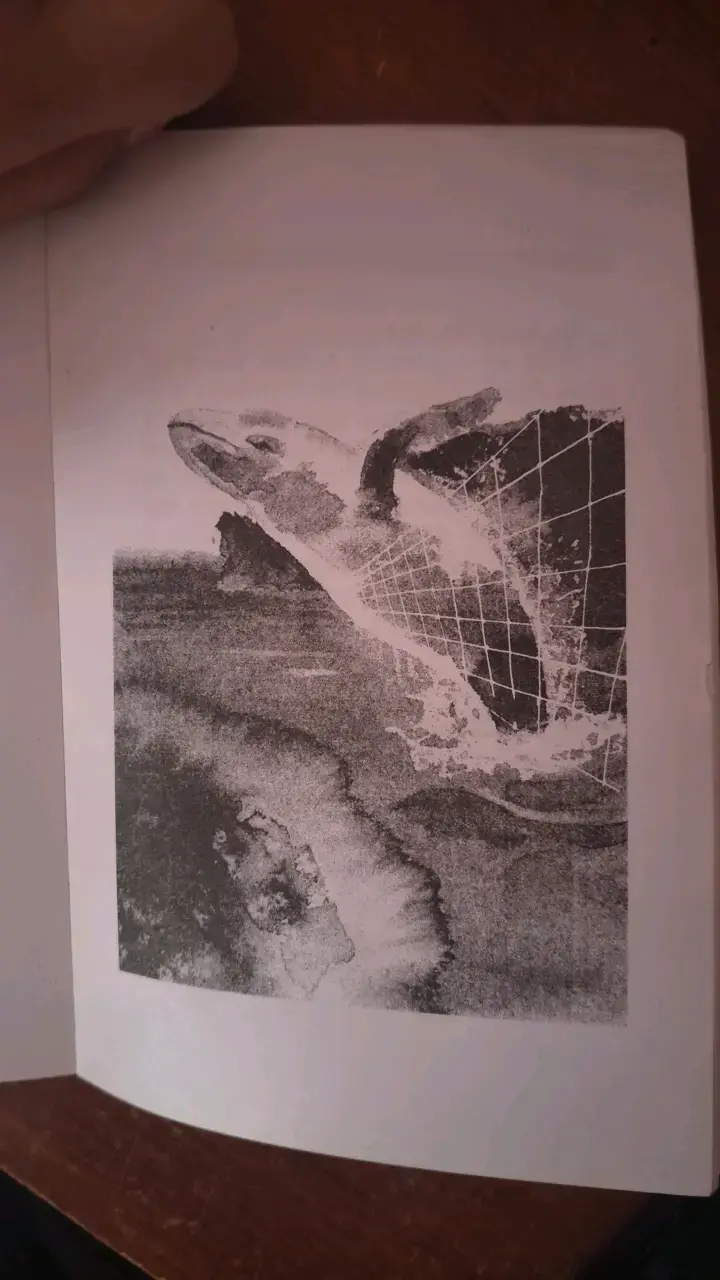 Libro 'Aydin' de Jordi Sierra i Fabra - 3