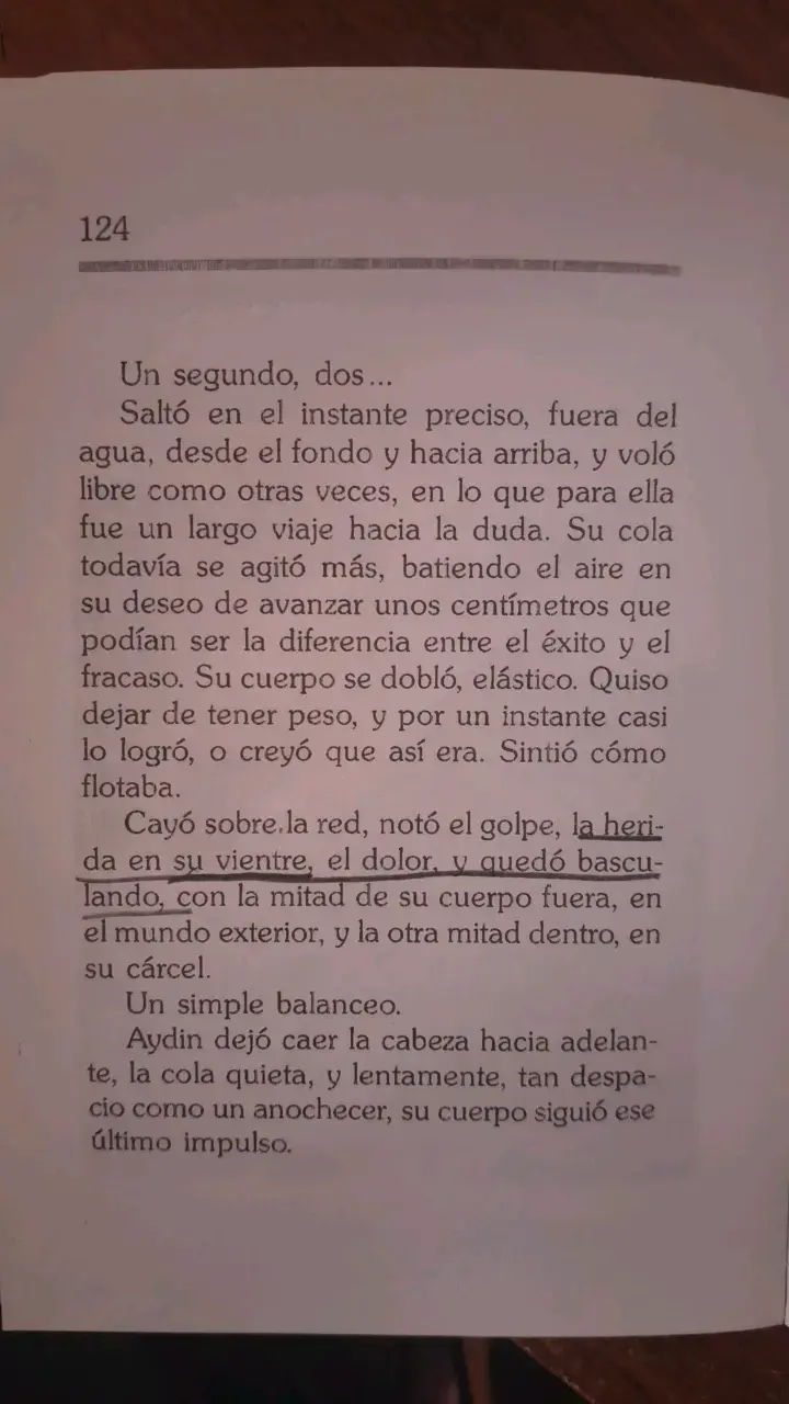 Libro 'Aydin' de Jordi Sierra i Fabra - 4