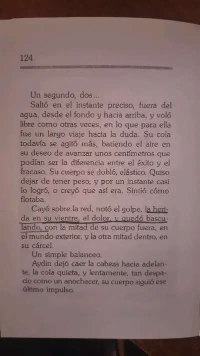 Libro 'Aydin' de Jordi Sierra i Fabra - miniatura 4