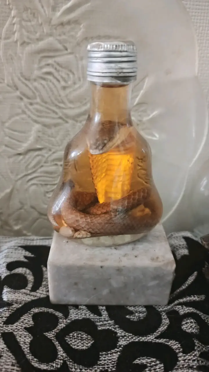Botella decorativa con serpiente en alcohol