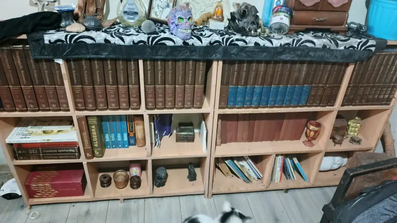 Enciclopedia Británica completa en buen estado