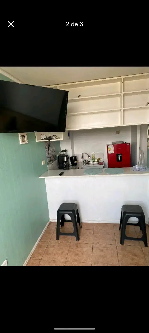 Arriendo depto Santiago, Parque Ohiggins - 4