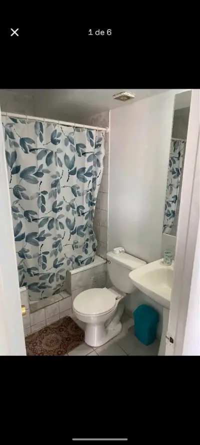 Arriendo depto Santiago, Parque Ohiggins - miniatura 5