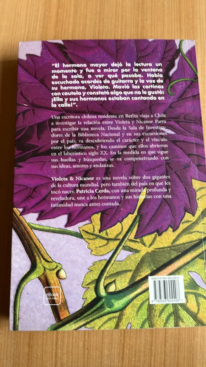 Novela 'Violeta & Nicanor' de Patricia Cerda - 2
