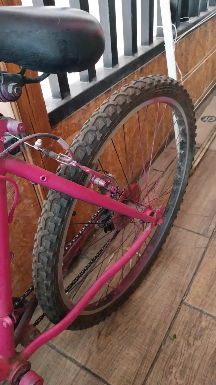 Bicicleta para recreación adultos - 1