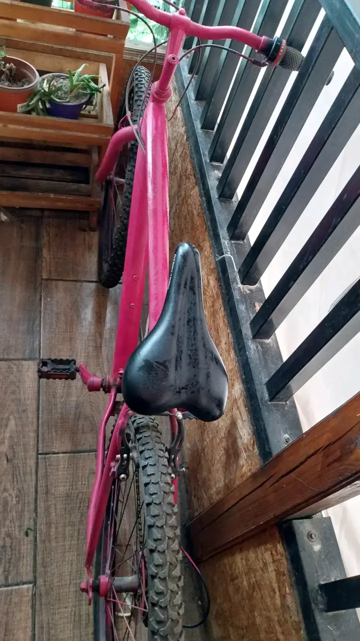 Bicicleta para recreación adultos - 2