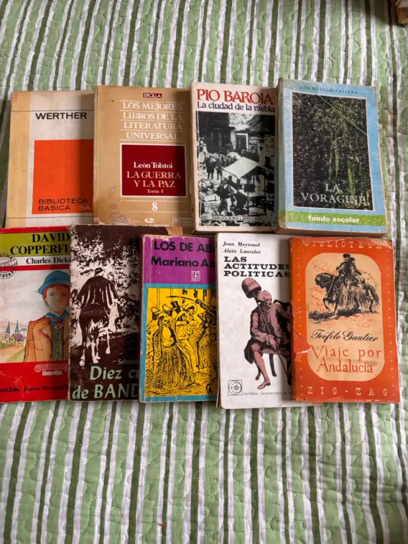 Lote de libros clásicos de literatura universal