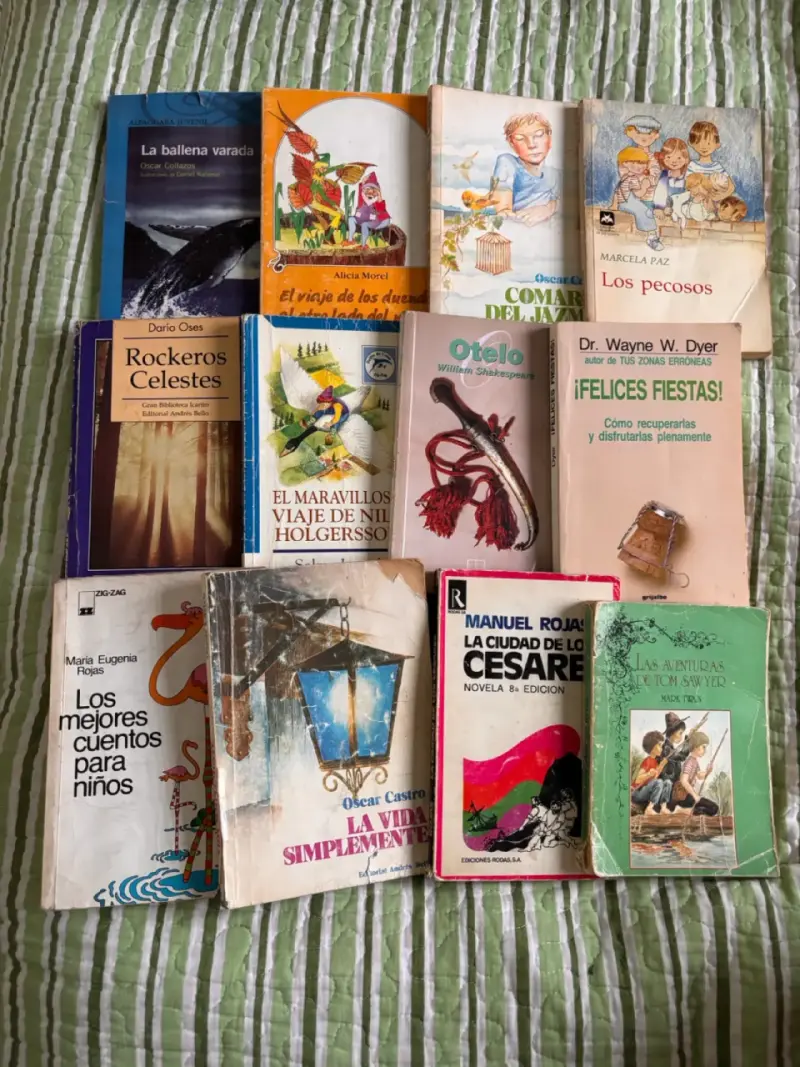 Lote de libros variados para niños y adultos