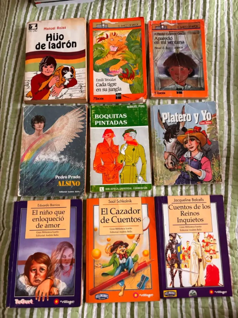 Lote de libros clásicos de literatura en español