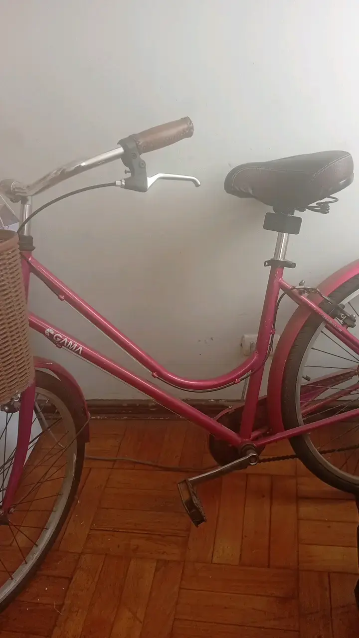 Bicicleta urbana rosada con canasto delantero - 2