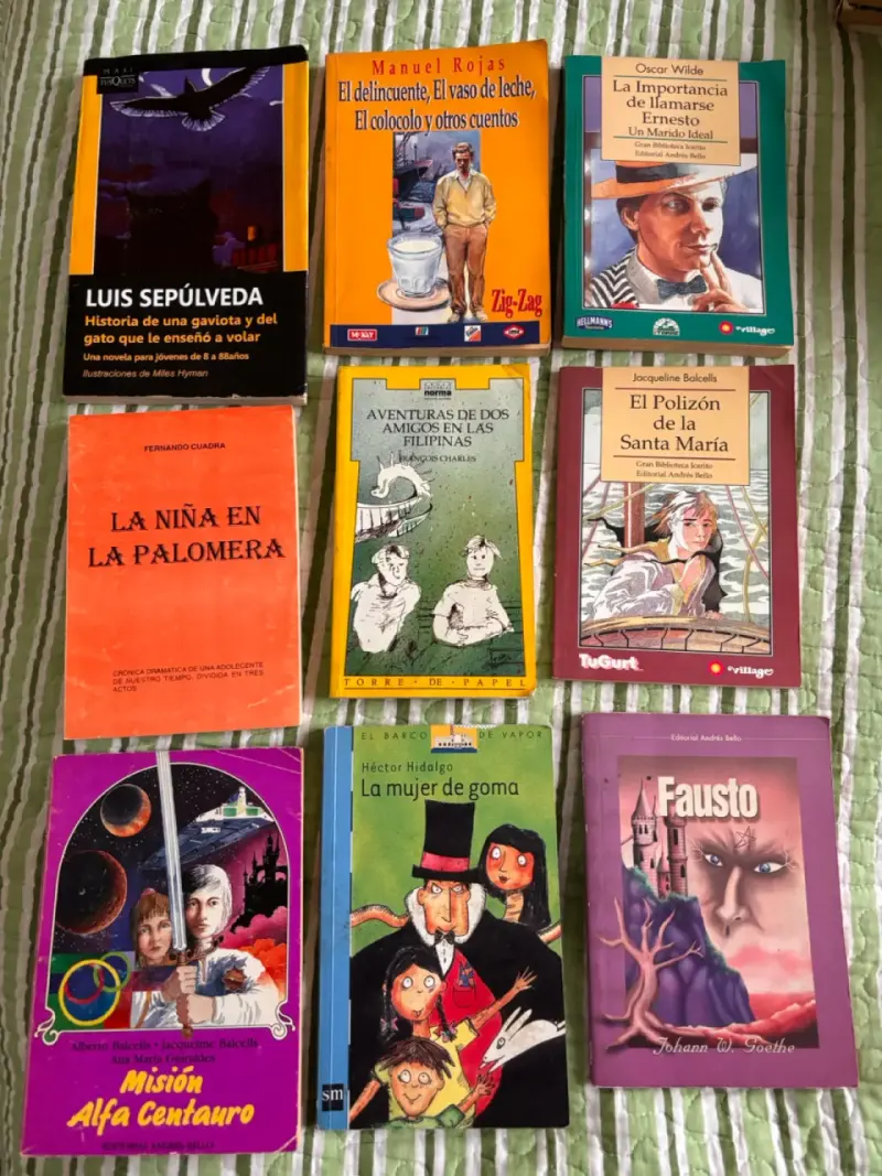 Lote de libros de literatura variada