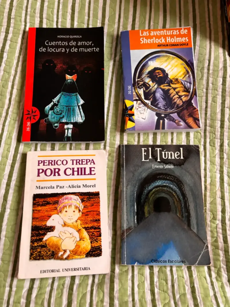 Lote de 4 libros clásicos de literatura