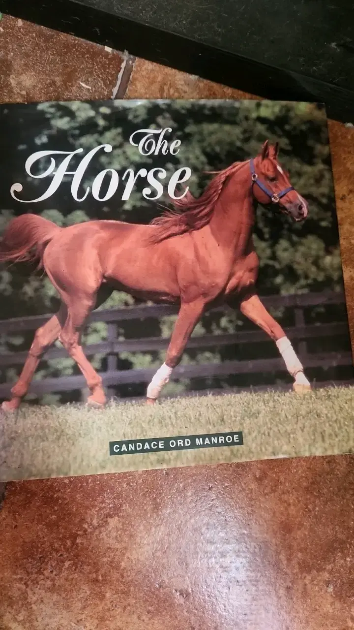 Libro 'The Horse' de Candace Ord Manroe