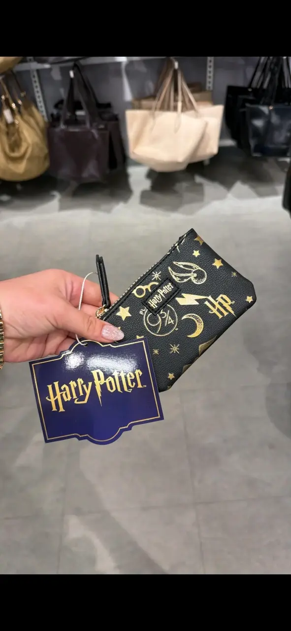 Monedero Harry Potter diseño mágico