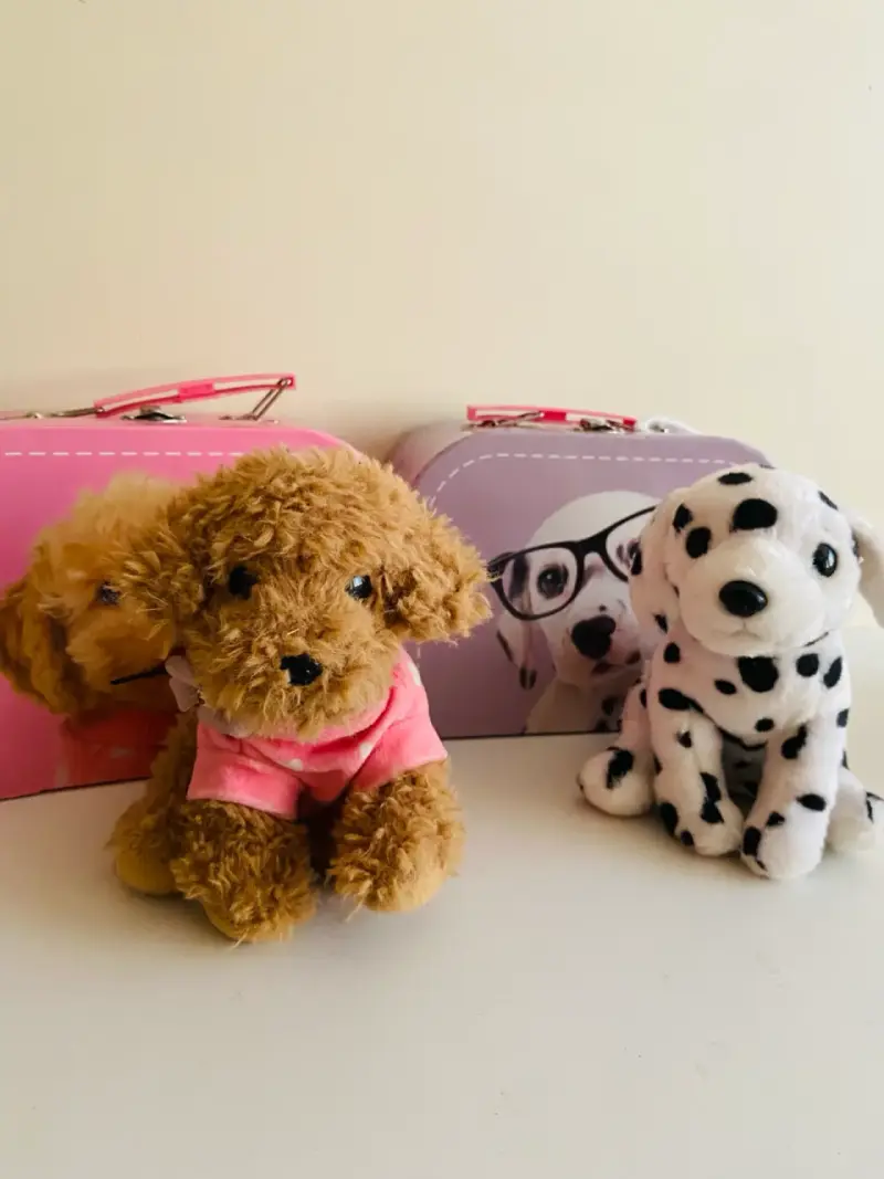 Peluches de perritos con maletines decorativos