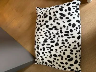 Cama de perrito usada - miniatura 3