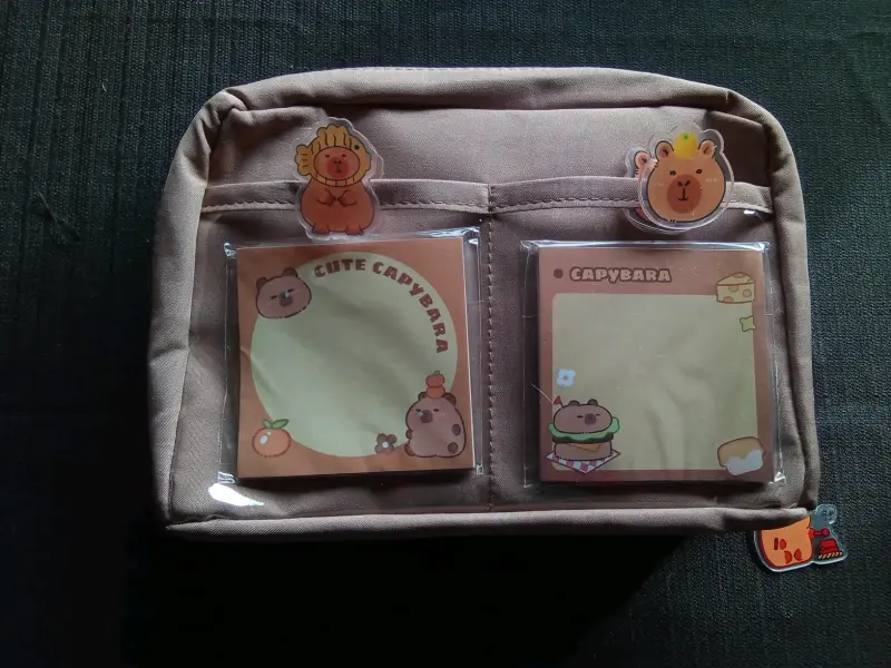 Set Capybara estudiantil kawai - 3