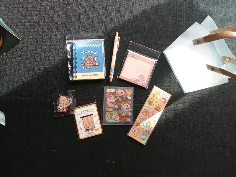 Set de papelería temática de capibaras - 1
