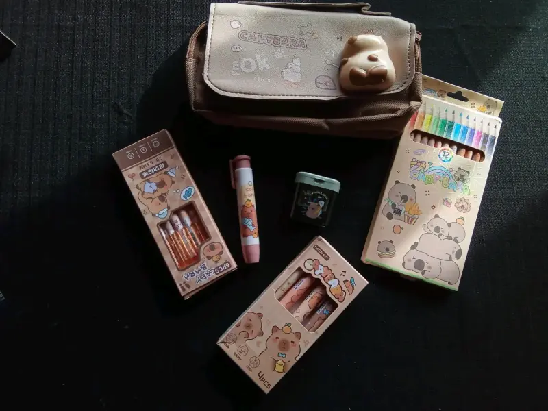 Set de papelería Capybara con estuche y lápices - 2
