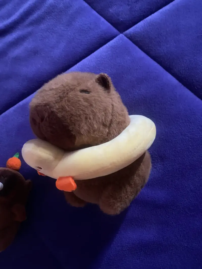 Peluche de oso con flotador de pato - 2