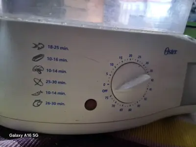 Vaporera Oster con temporizador ajustable - miniatura 1