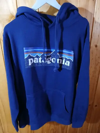 Polerón con capucha Patagonia azul - miniatura 1