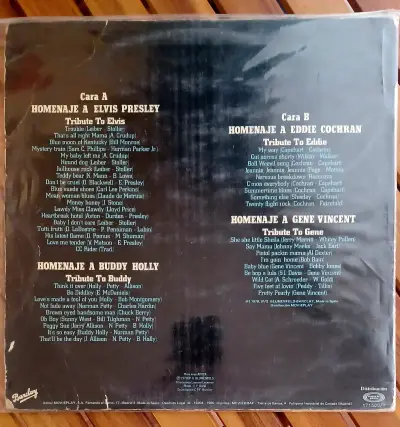 Vinilo Rock Odyssey Homenaje a Elvis, Eddie, Buddy y Gene - miniatura 5
