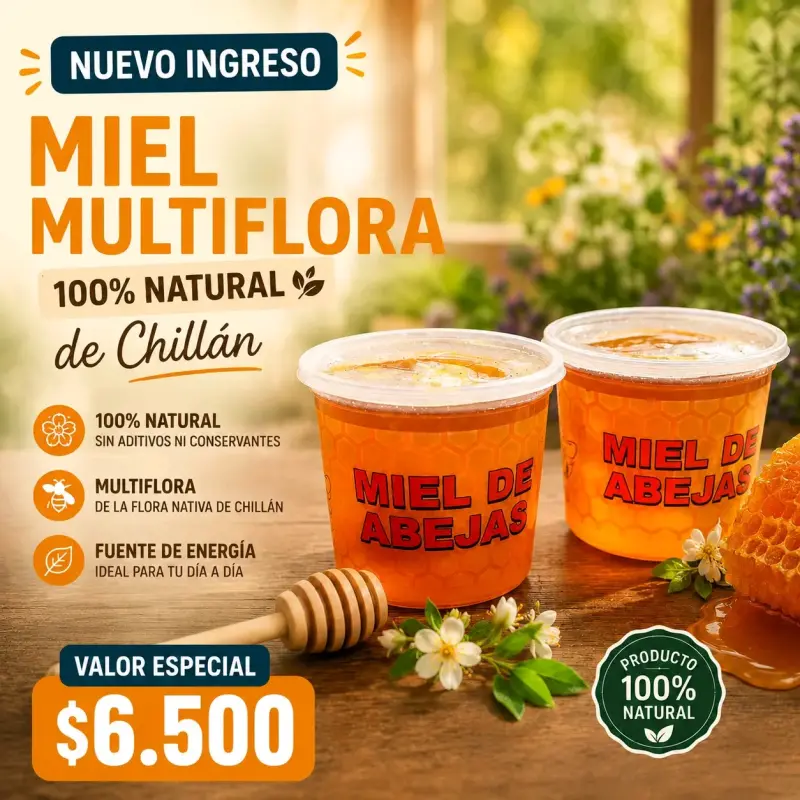 Miel de abejas natural 1kg - 2