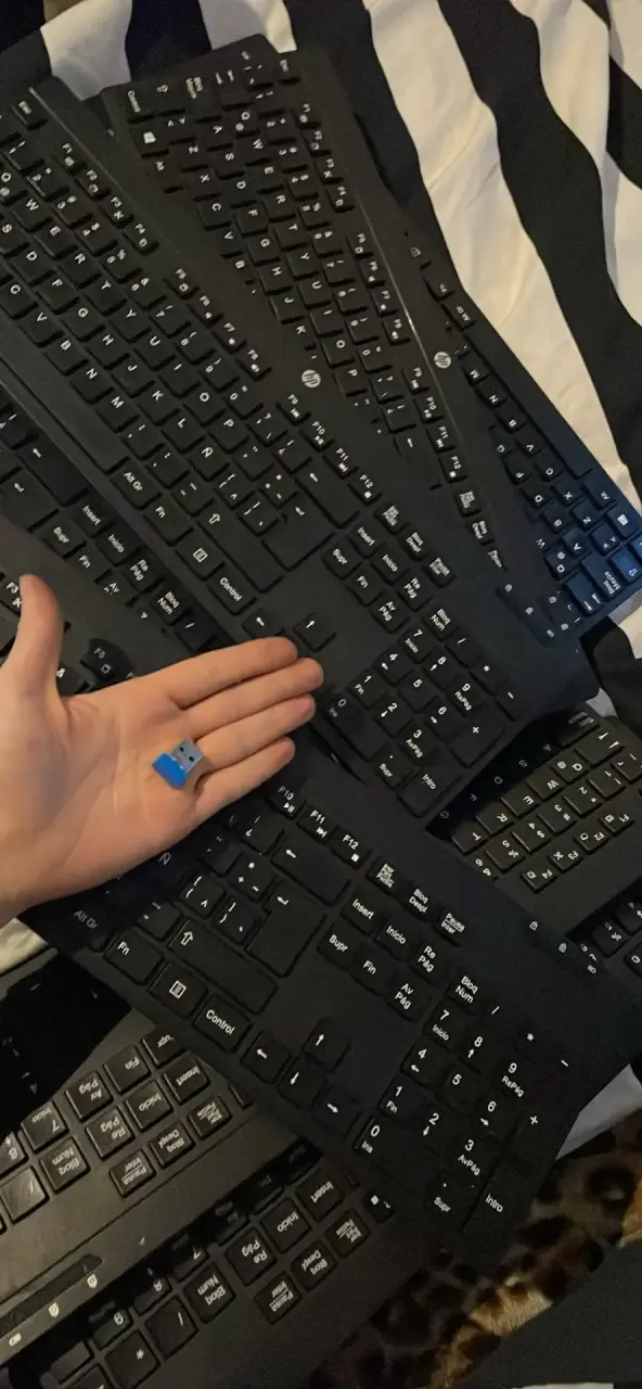 teclados HP HSA-D01K - 1
