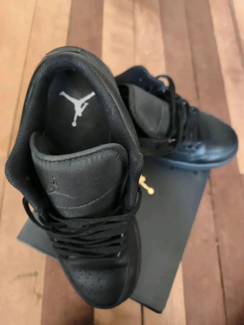 Zapatillas jordan low 1 - 4