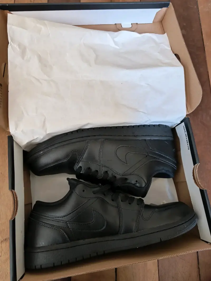 Zapatillas jordan low 1 - 5
