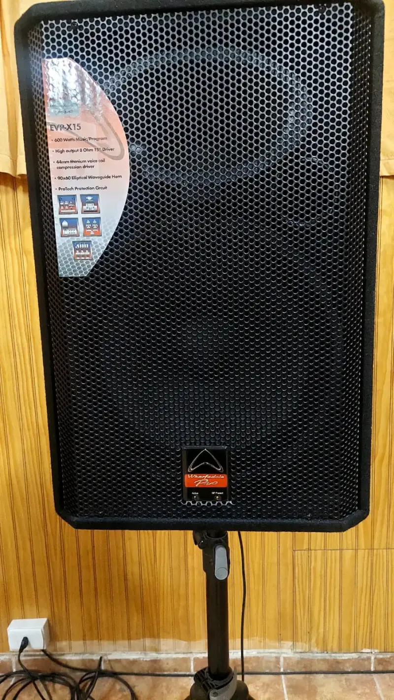 Sistema de sonido profesional con micrófonos y parlantes - 2