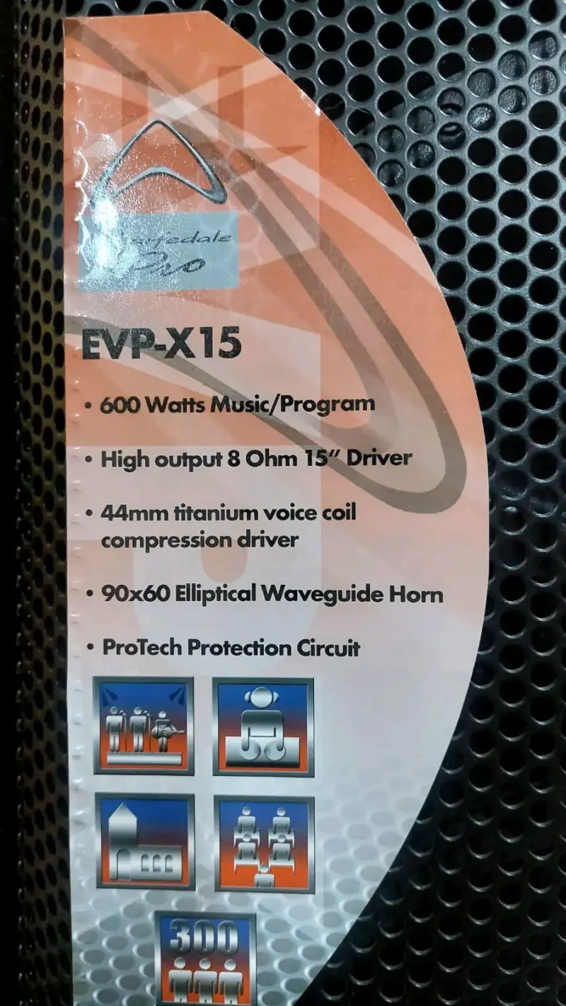 Sistema de sonido profesional con micrófonos y parlantes - 3