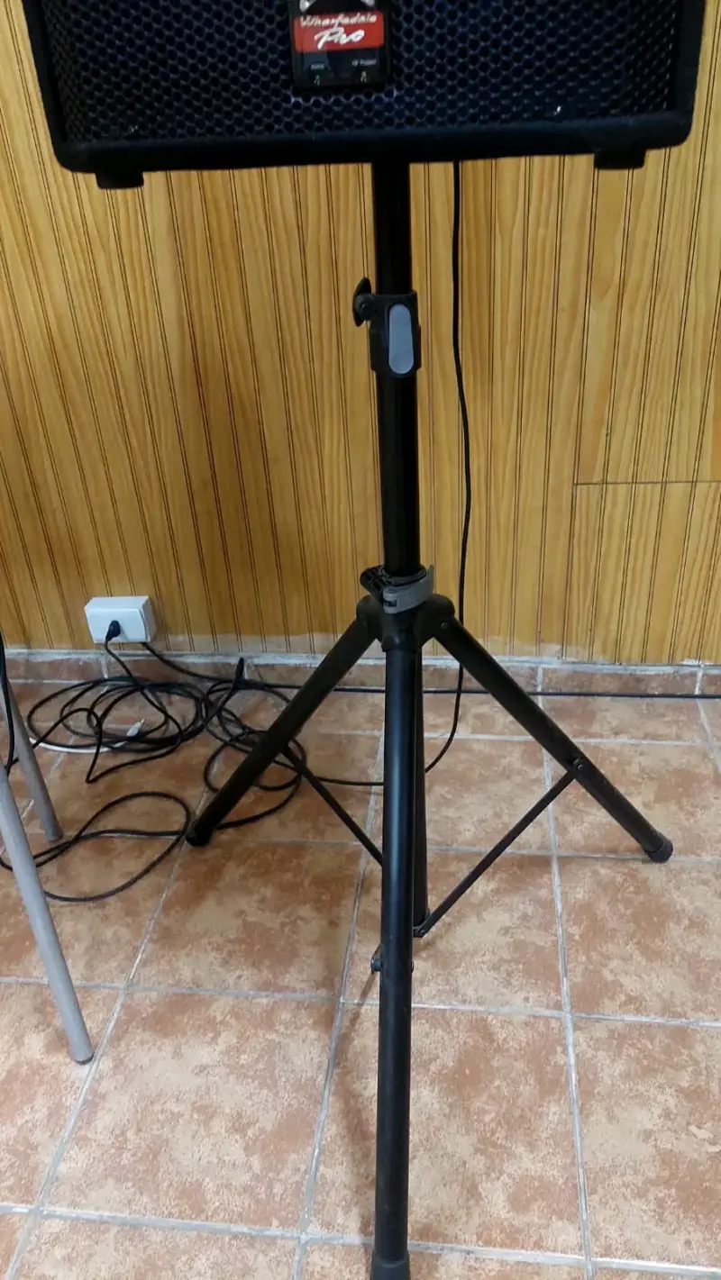 Sistema de sonido profesional con micrófonos y parlantes - 6